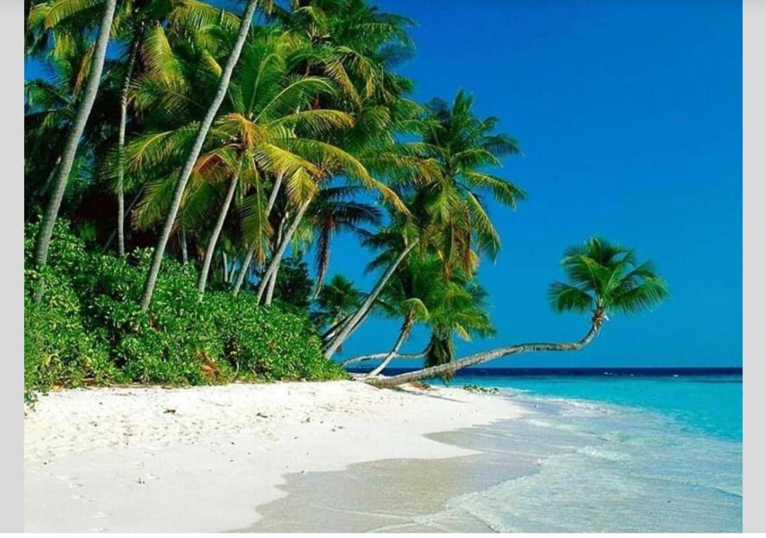 Airbnb At Sri Sayang Batu Ferringhi Beach Kültér fotó